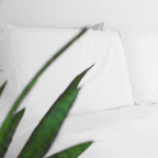 Bed Sheets Set