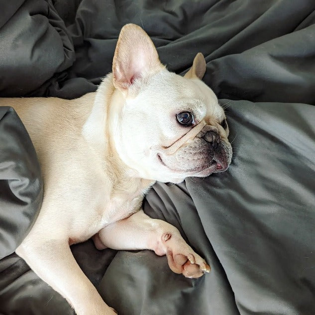 Duvet Cover Set